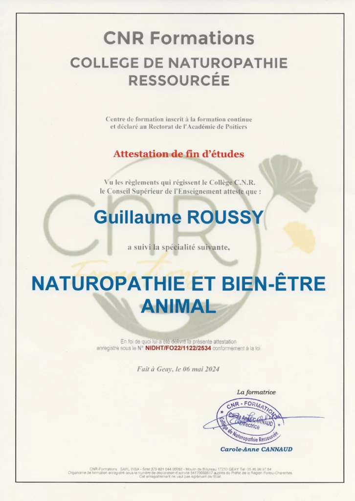 Diplôme certificat naturopathie et bien-être animal